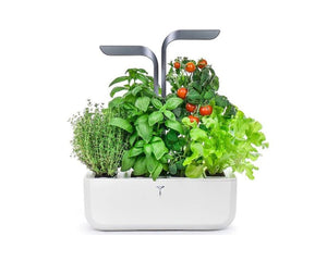 Veritable Connect 4-Slot Indoor Garden - Mobile123