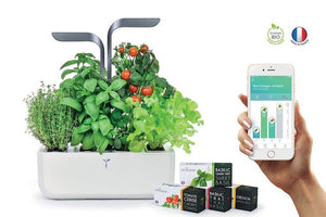 Veritable Connect 4-Slot Indoor Garden - Mobile123